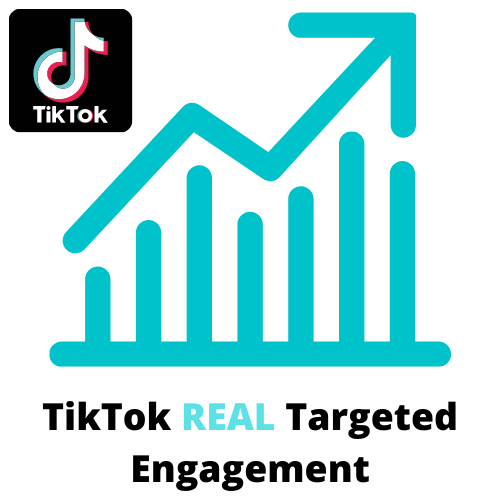 TikTok Real Targeted Post Engagement - Best Service To Go Viral - Views | Follows | Likes | Comments | Shares - 24HourViews