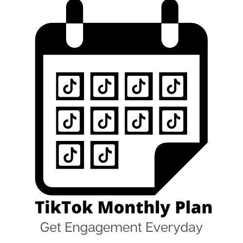 TikTokの月間成長計画